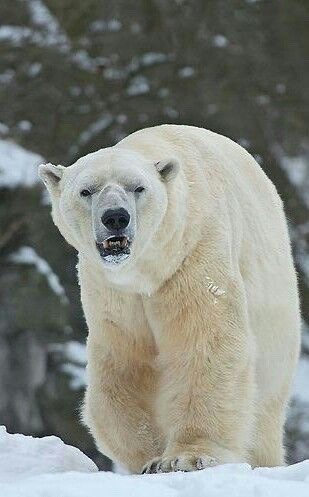 tumblr_7391133e65132147d714a12280c983c8_7ec5b50f_400