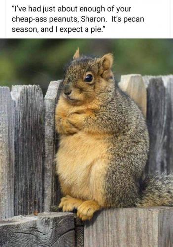 15:29:08 GMT-0600 (CST)