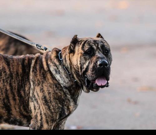 02:05:14 GMT+0100 (WAT)