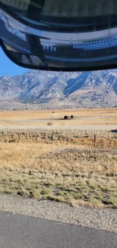 23:35:06 GMT-0700 (MST)