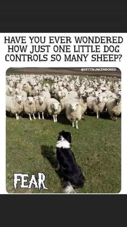 16:26:38 GMT-0800 (PST).image