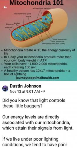 08:25:54 GMT-0600 (CST).image