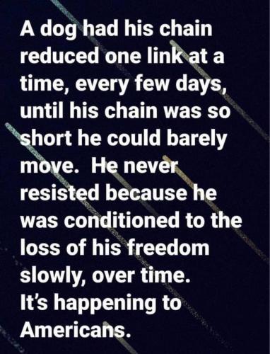 11:46:01 GMT-0500 (EST)