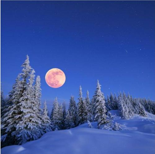 11:18:25 GMT-0600 (CST)