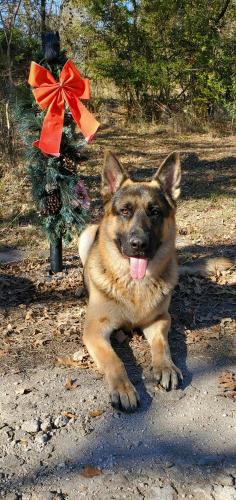 19:08:18 GMT-0600 (CST)