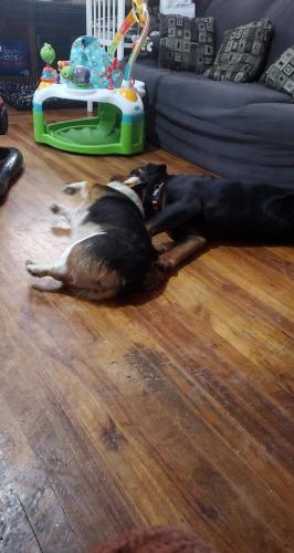 10:37:27 GMT-0800 (PST)