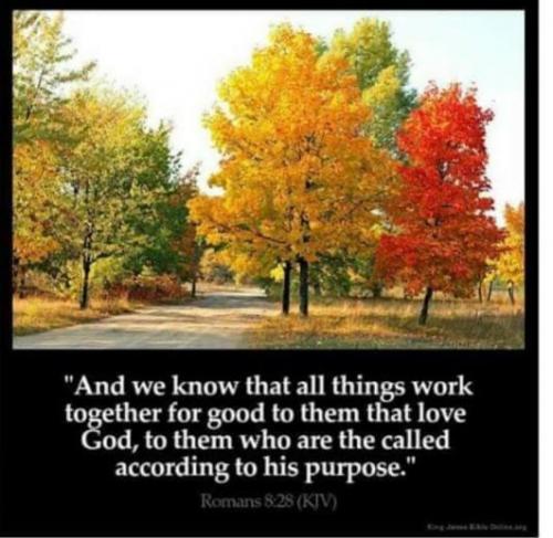 5A1A795C-D4F0-46B9-899D-96D462DB9FEA