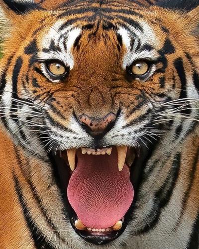 tumblr_f005987a786260210d7239c40ab63d78_bca8b587_1280