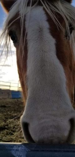 20:09:26 GMT-0800 (PST).image