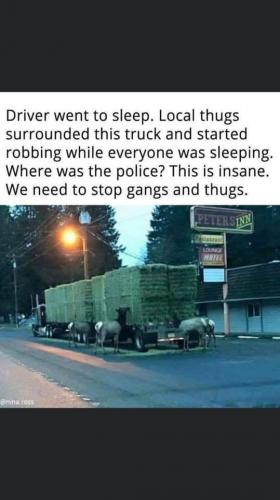 17:00:53 GMT-0600 (CST).image