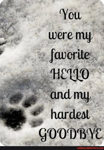 23:10:38 GMT-0600 (CST).image