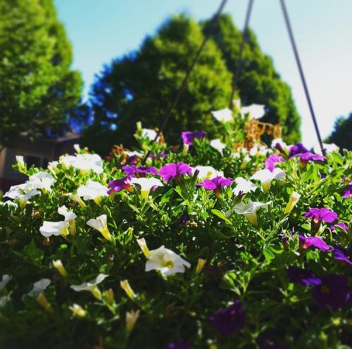 00:31:06 GMT-0500 (EST).image