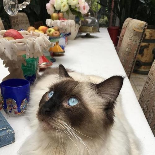 17:56:14 GMT+0100 (WAT)