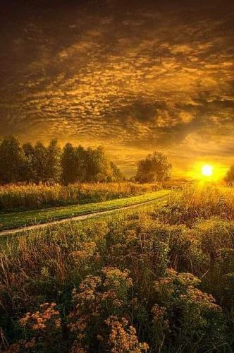 07:47:49 GMT-0600 (CST)