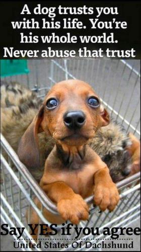 09:04:14 GMT-0500 (EST)