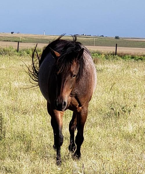 117810218_3482079968477997_6257733790347431913_n