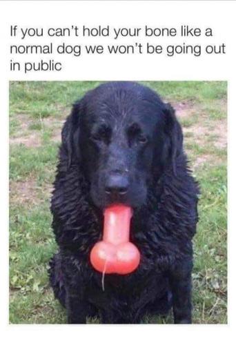 06:49:08 GMT-0500 (EST)