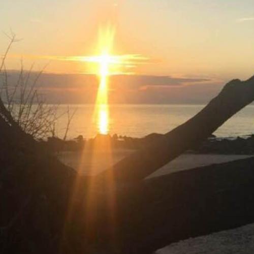 7D380DC6-DBCD-4B73-9EDE-6C2EA56D752A