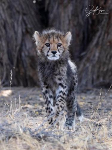 129565199_3466120753463650_7160841033904533291_o