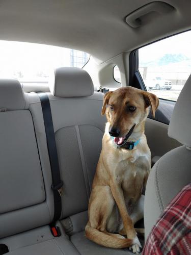 14:58:36 GMT-0700 (MST)