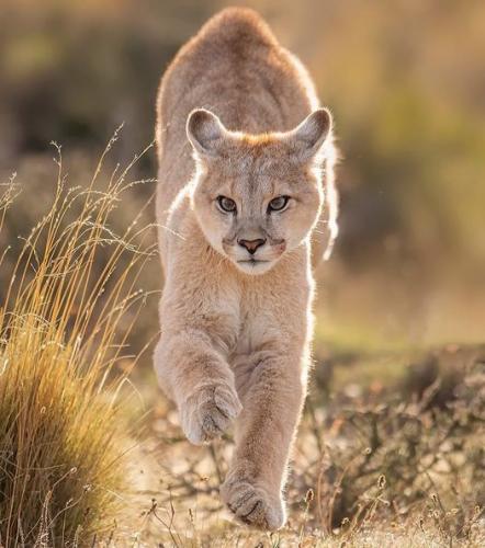 131444045_675032699840957_8620797075239008432_o