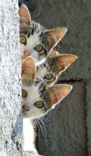 13:24:30 GMT-0600 (CST)