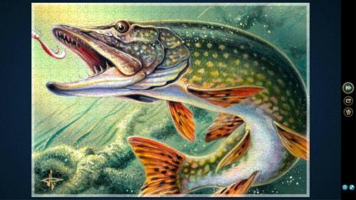 QVZlWFJDT2hmRGNkeUFEeQ