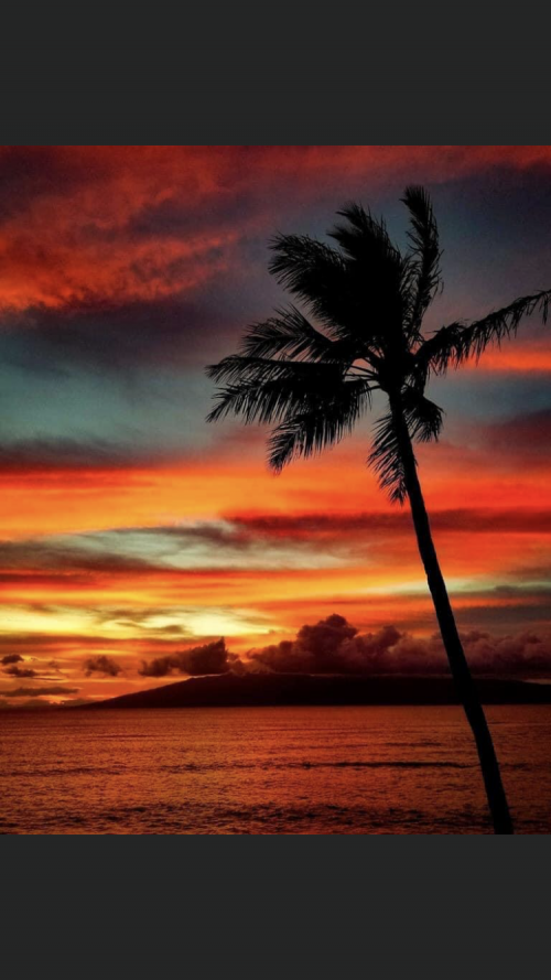 12:37:29 GMT-0800 (PST).image