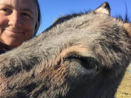 07:11:33 GMT-0800 (PST).image