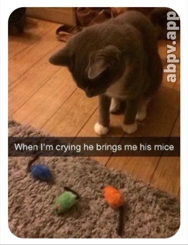 07:21:27 GMT-0600 (CST).image