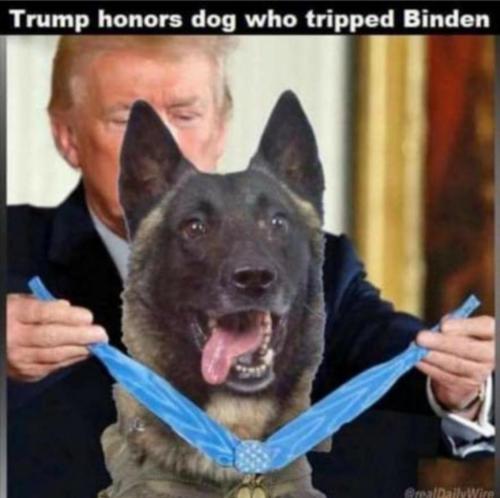 9FF76C7A-7975-41E5-AB0A-DAA9F6EE84DC