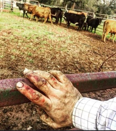 08:03:44 GMT-0600 (CST)