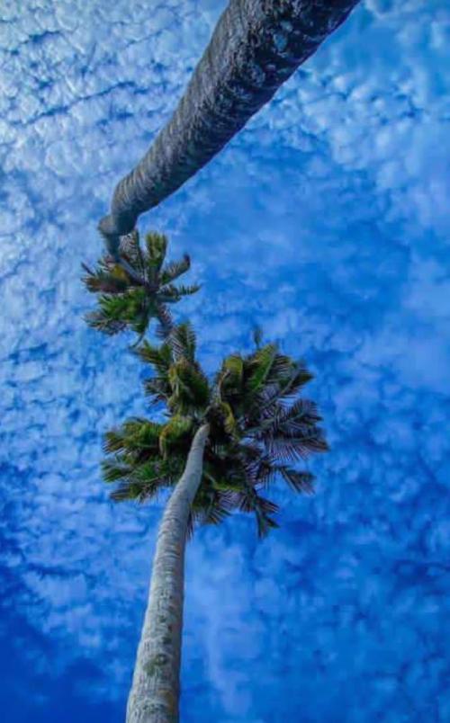 18:12:47 GMT-0600 (CST).image