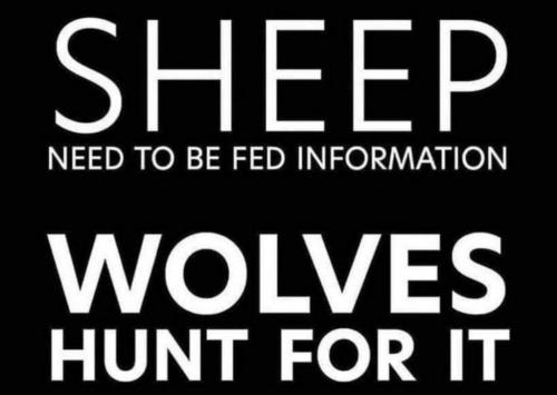 10:10:09 GMT-0500 (EST).image