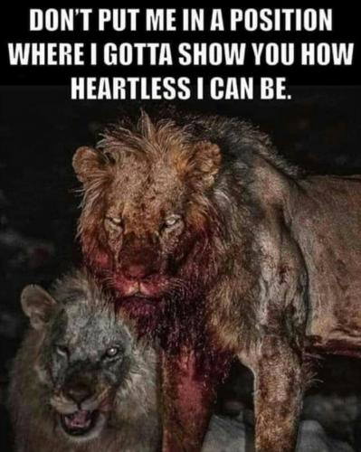 Screenshot_2020-11-19-09-06-13-1