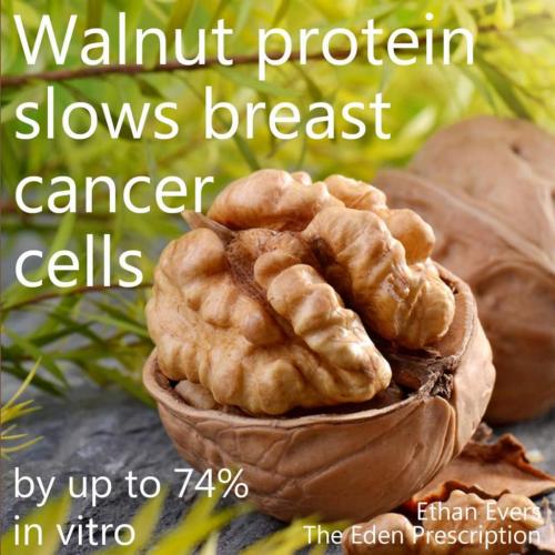 12:17:39 GMT-0700 (MST)