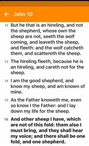 C229CB33-10CE-4D67-9B91-BE4954D0069F