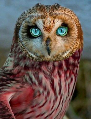 08:48:01 GMT-0600 (CST)