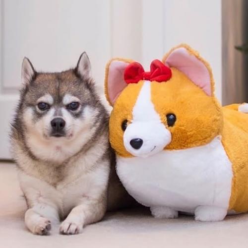 21:35:04 GMT+0100 (WAT)