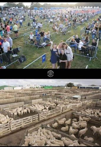 17:37:51 GMT-0800 (PST)