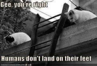 8EC6B1ED-D4FD-464D-84C2-35581AD4798E