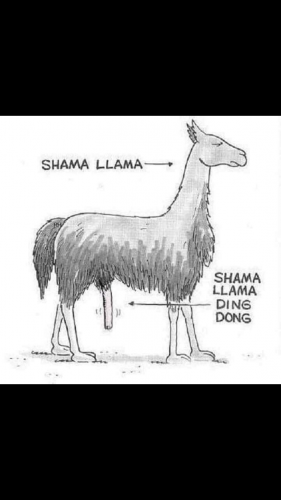 07:41:29 GMT-0600 (CST).image