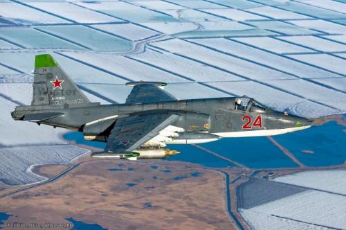 130708106_3366733413435016_5235347261810841357_o