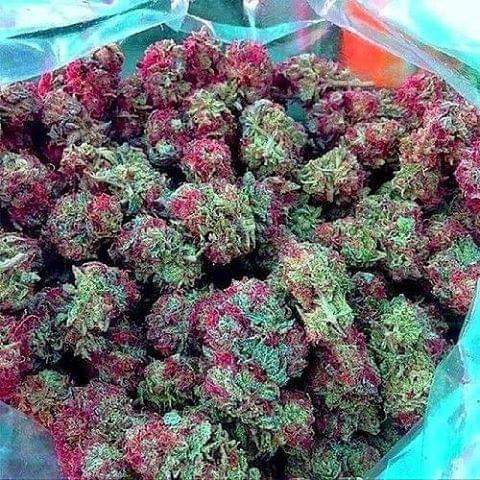 22:37:56 GMT-0800 (PST)