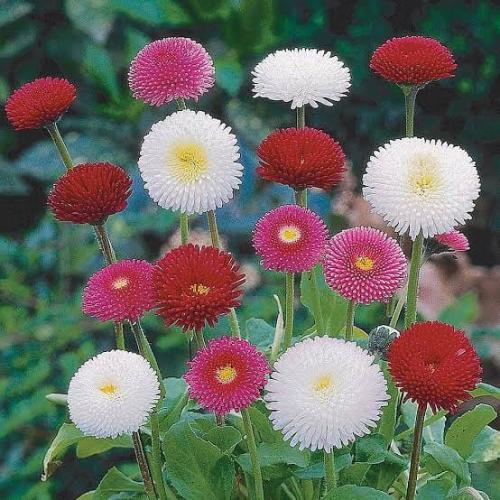 21:53:53 GMT+0100 (WAT)