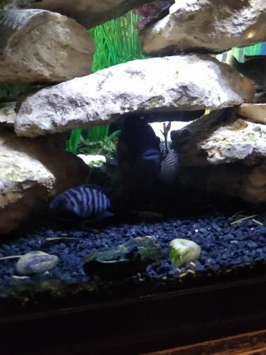 05:27:26 GMT-0600 (CST)