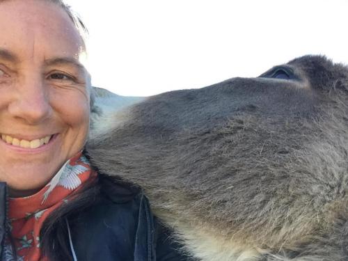 07:11:33 GMT-0800 (PST).image