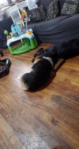 10:37:27 GMT-0800 (PST)