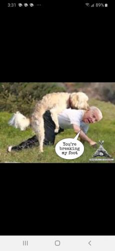 18:58:39 GMT-0500 (EST)