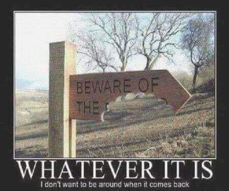 13:41:08 GMT-0600 (CST)